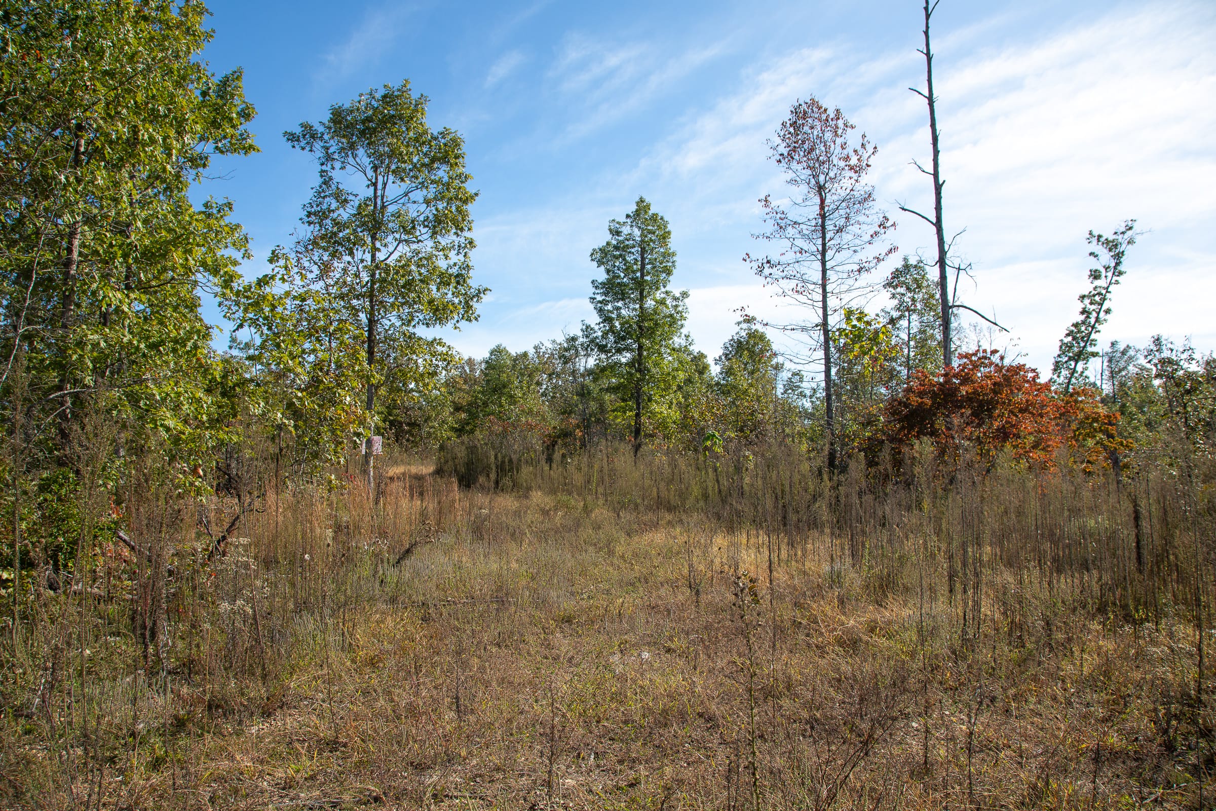 Borgmann’s Hollow Phase IV Tract 124 photo 13
