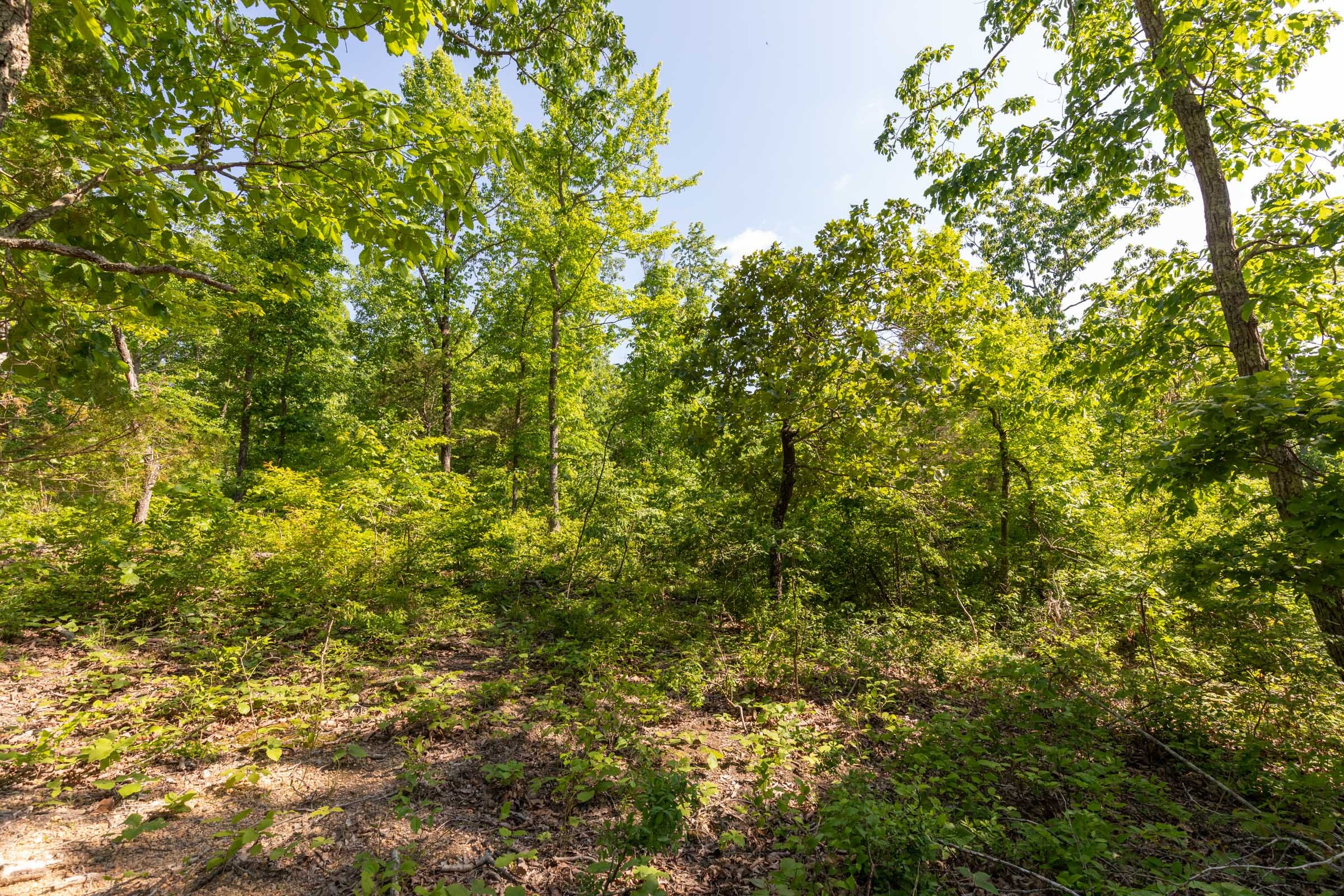 Cedar Creek Tract 8 photo 9