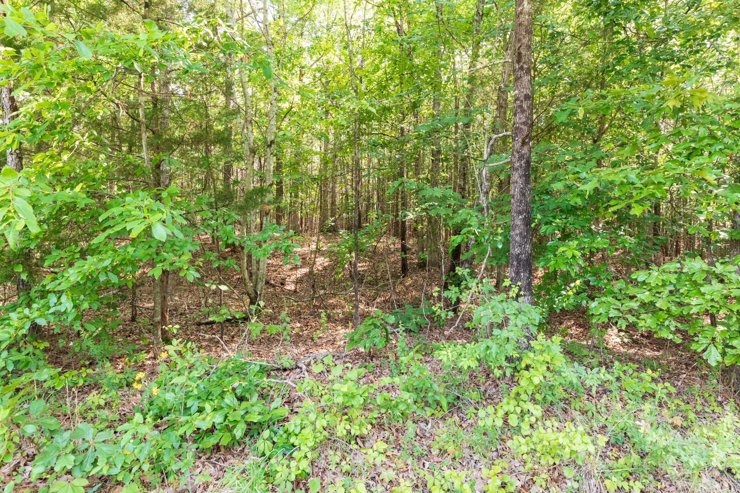 Whiskey Ridge Tract 114 photo 3