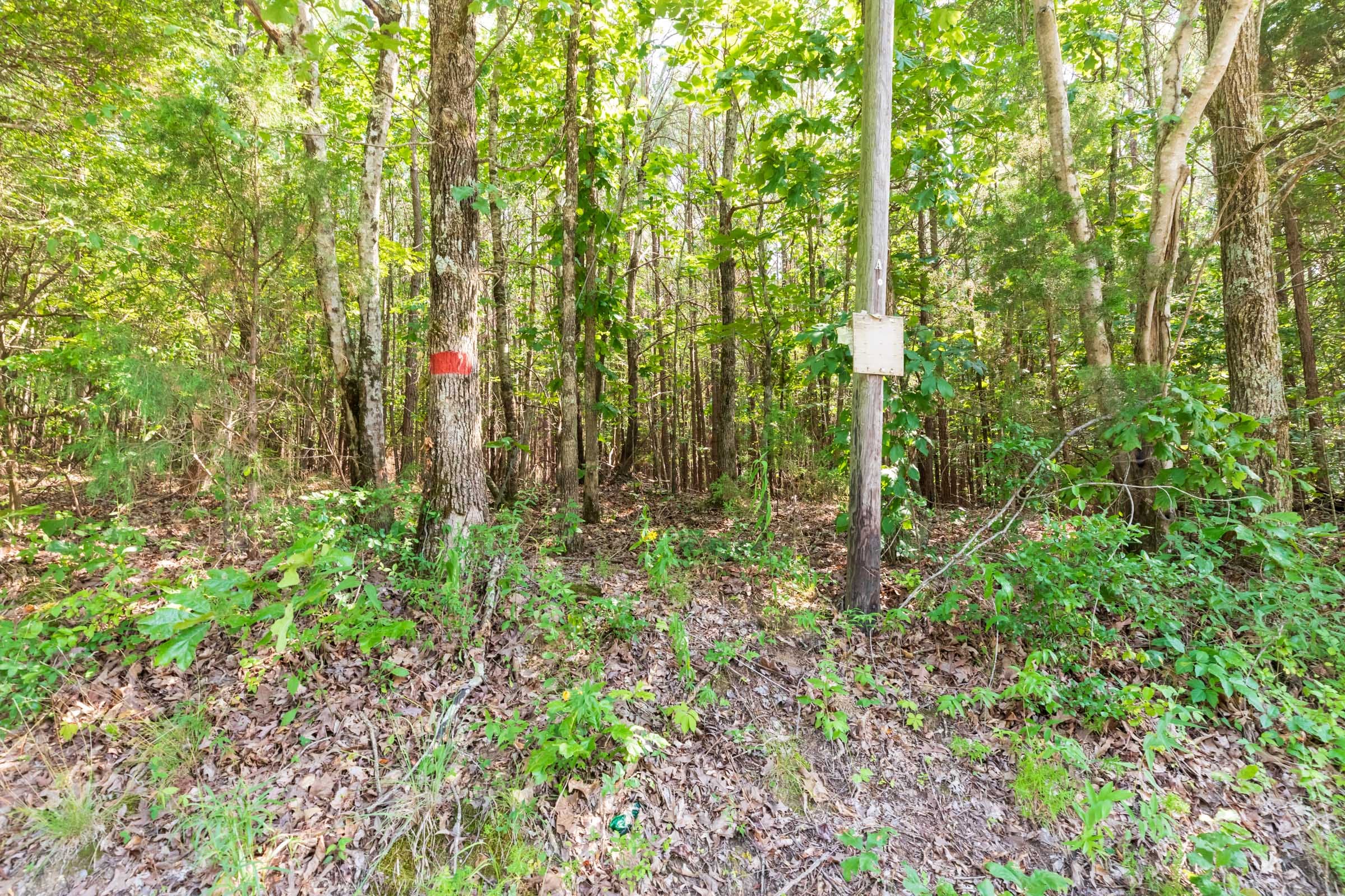 Whiskey Ridge Tract 114 photo 6
