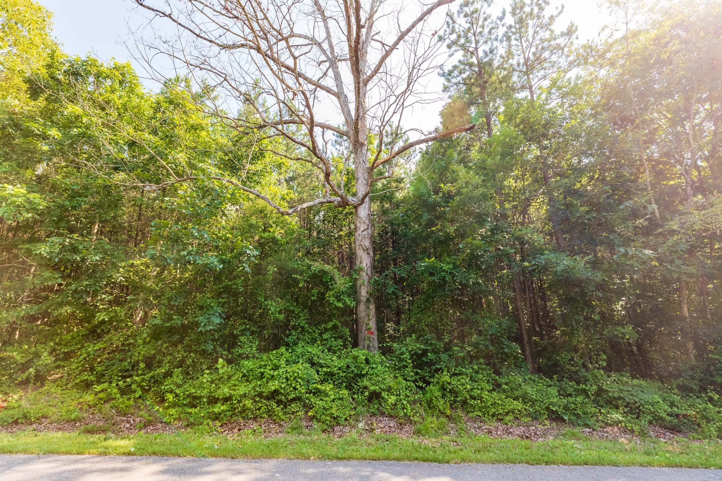 Whiskey Ridge Tract 114 photo 9
