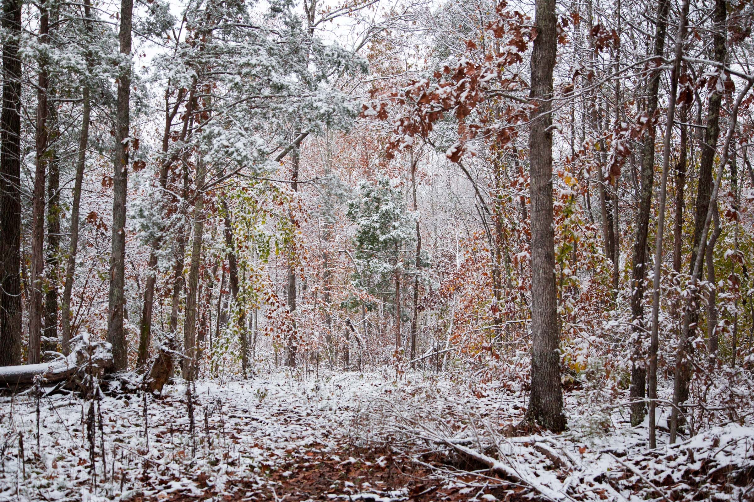 Sweet Water Ranch Tract 6 photo 1