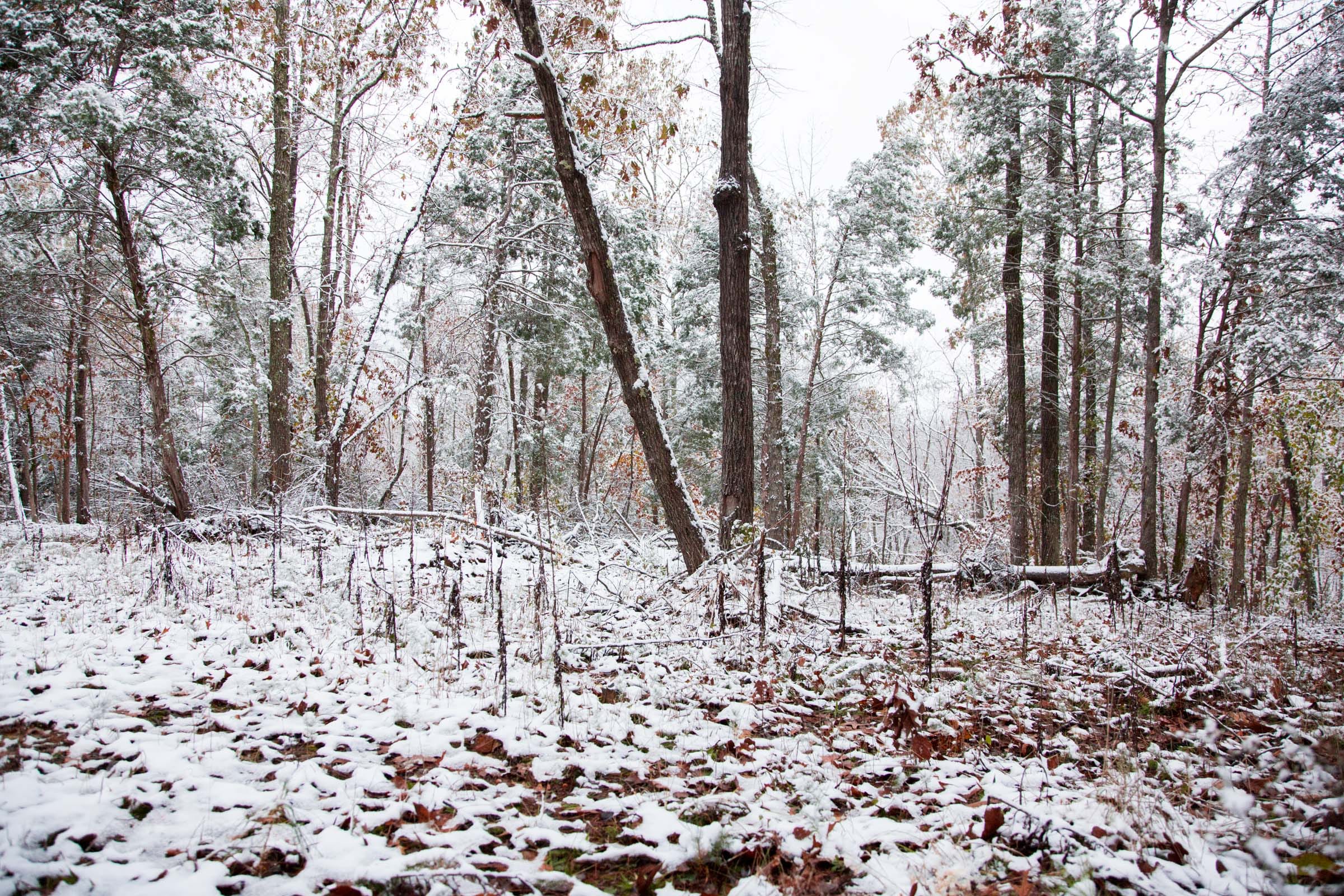 Sweet Water Ranch Tract 6 photo 2