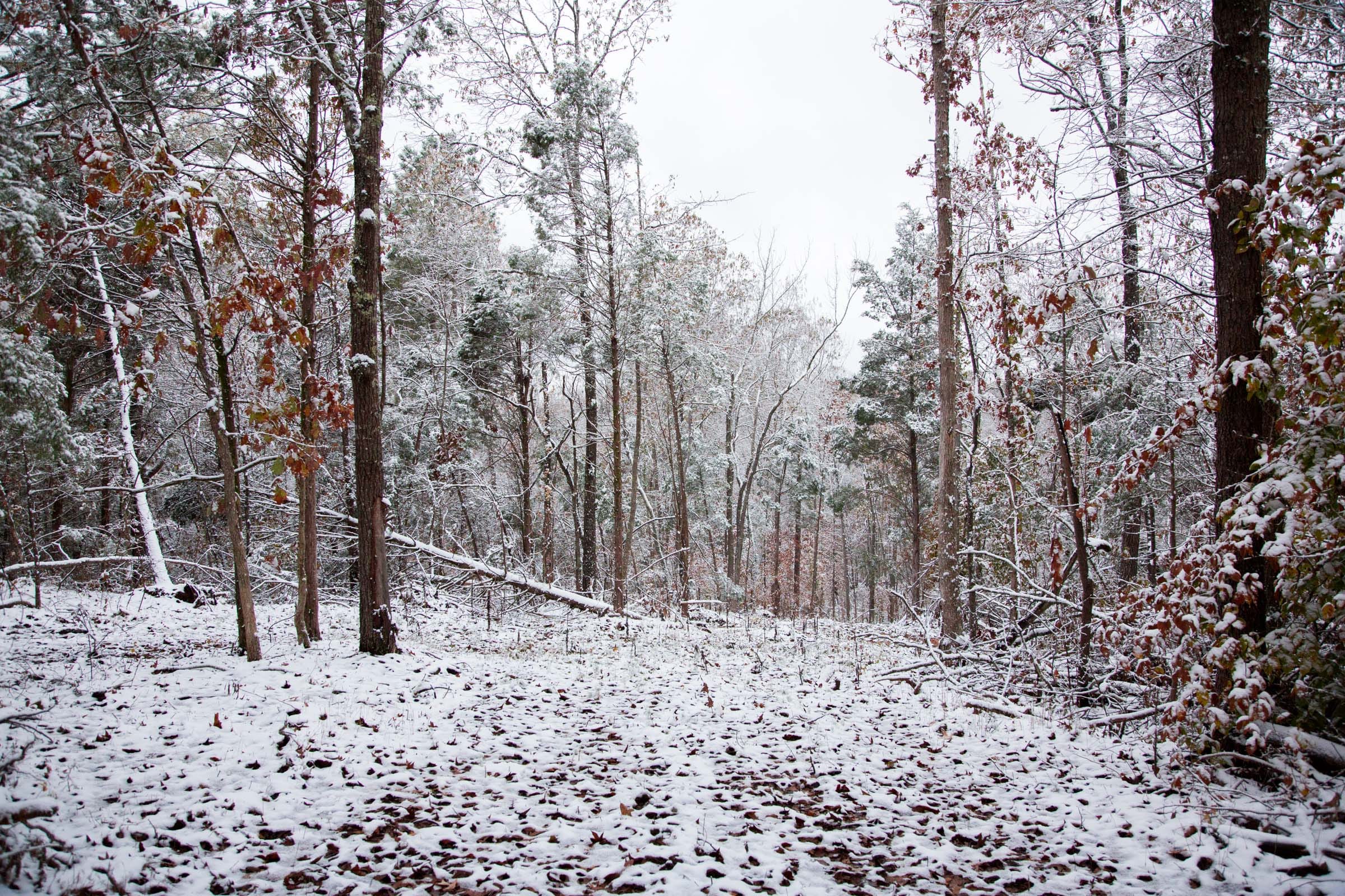 Sweet Water Ranch Tract 6 photo 3