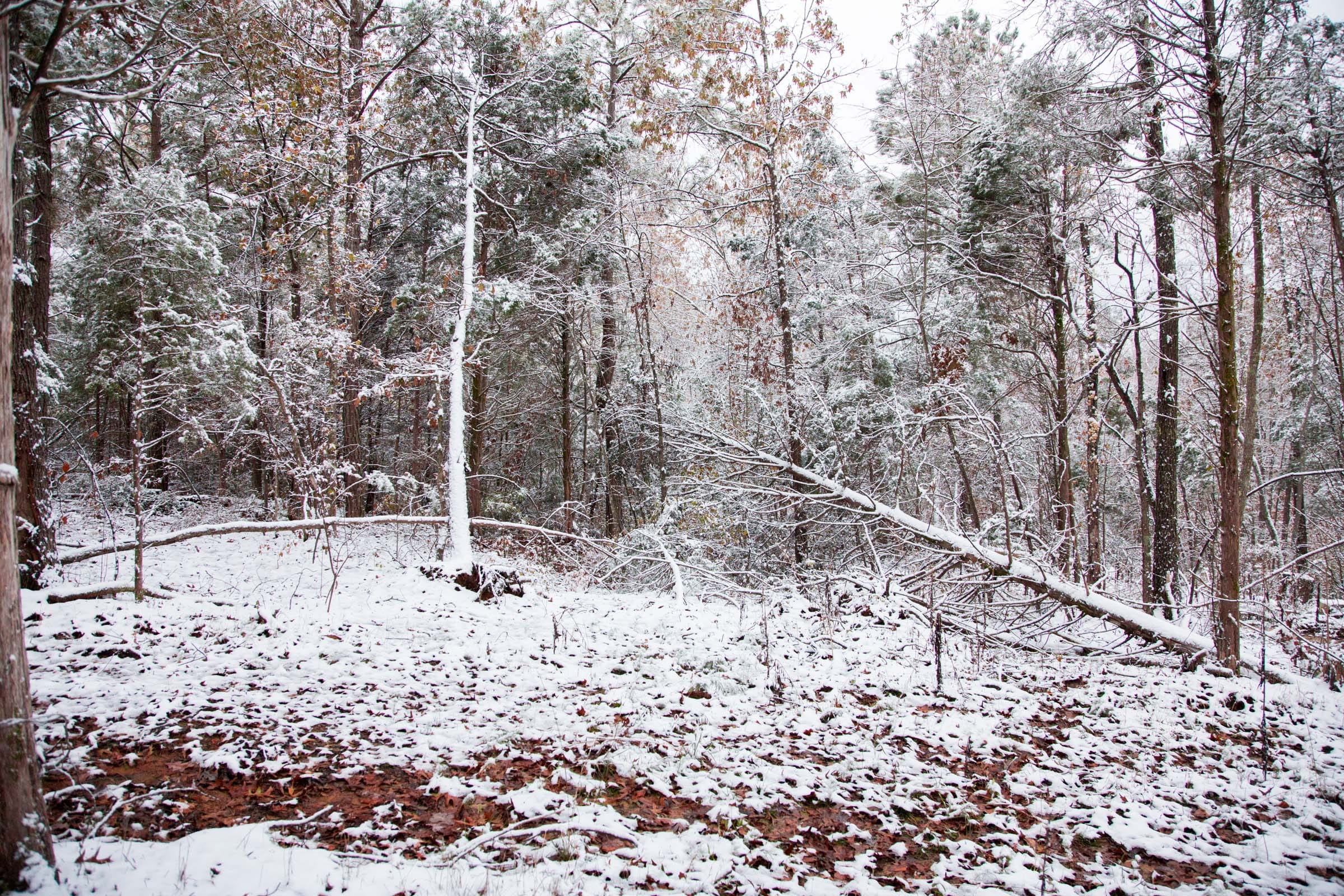 Sweet Water Ranch Tract 6 photo 4