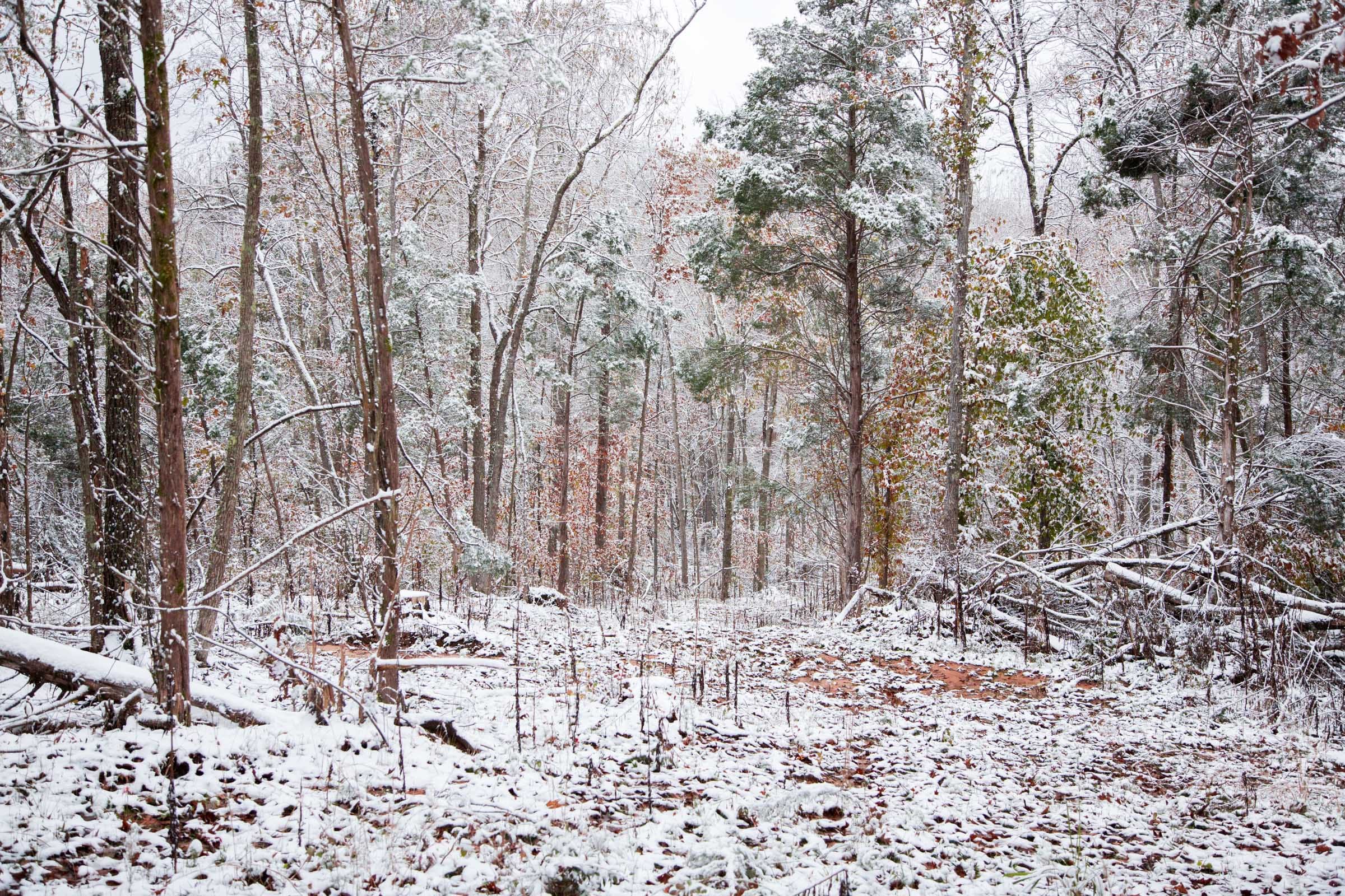 Sweet Water Ranch Tract 6 photo 5