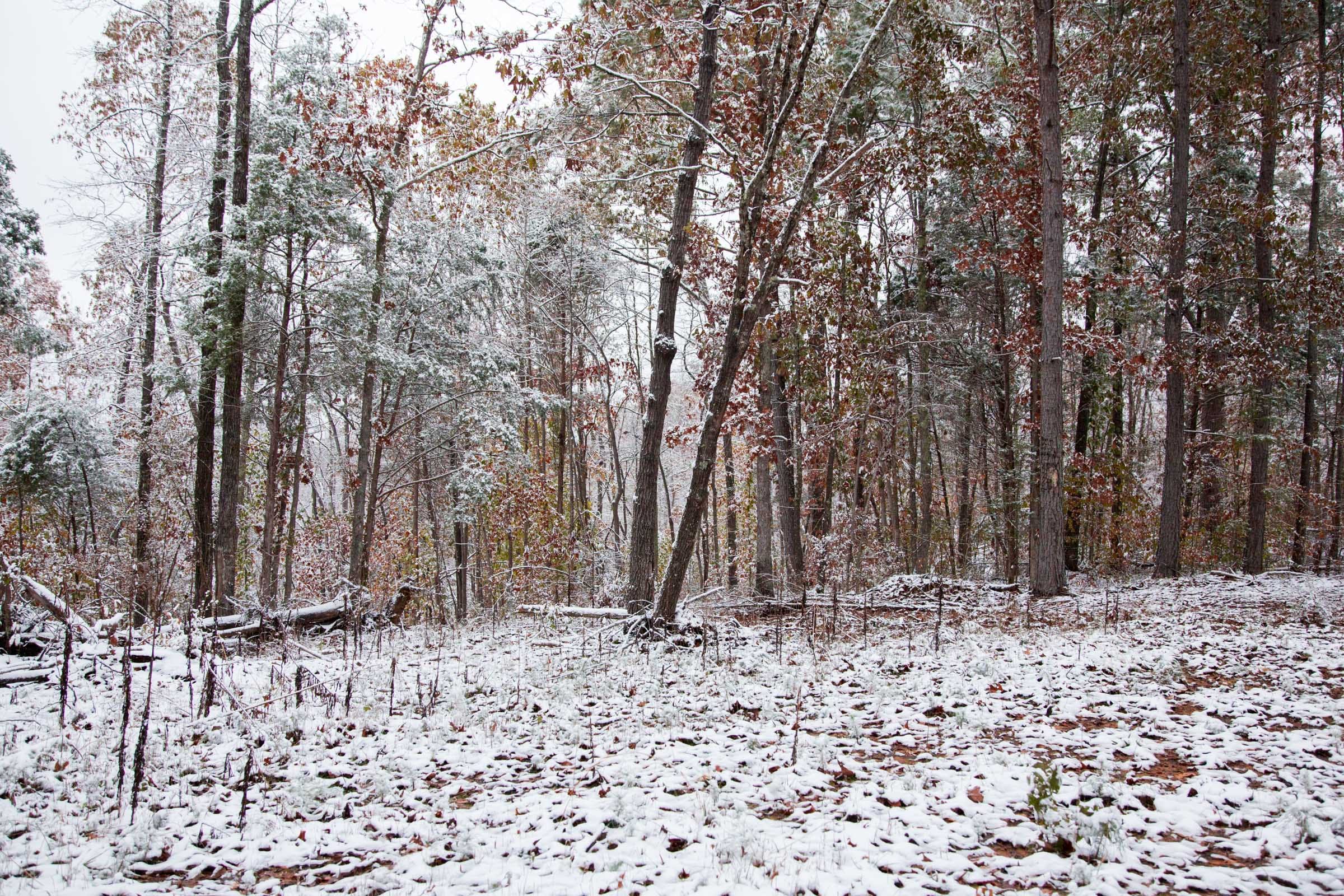 Sweet Water Ranch Tract 6 photo 6