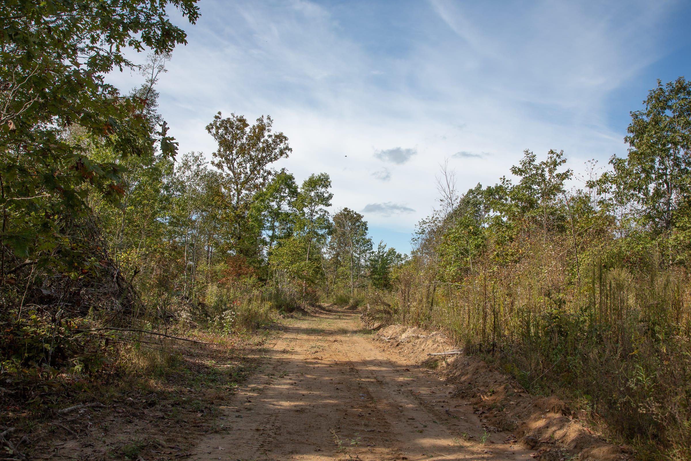 Borgmann’s Hollow Phase IV Tract 132 photo 1