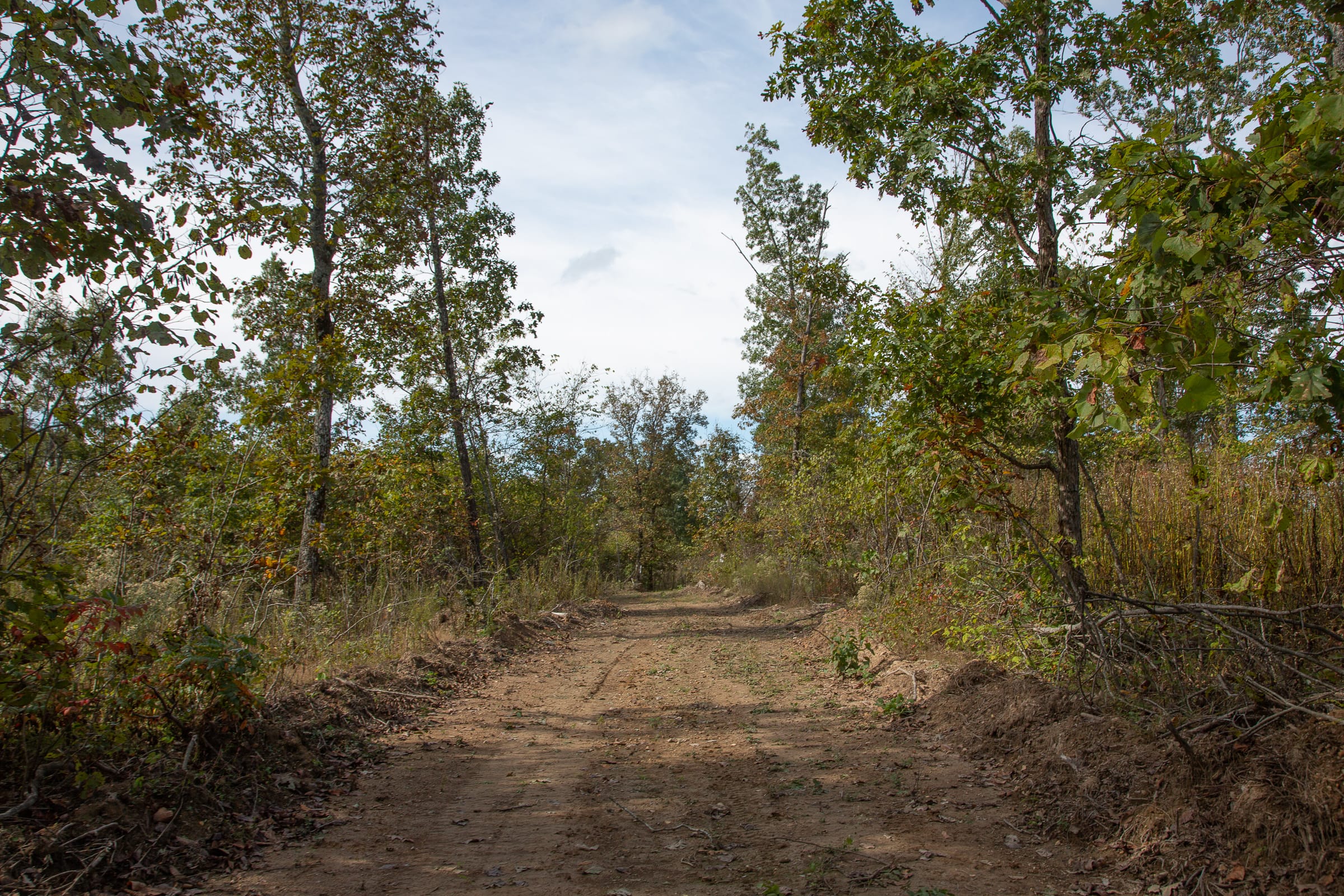 Borgmann’s Hollow Phase IV Tract 132 photo 6