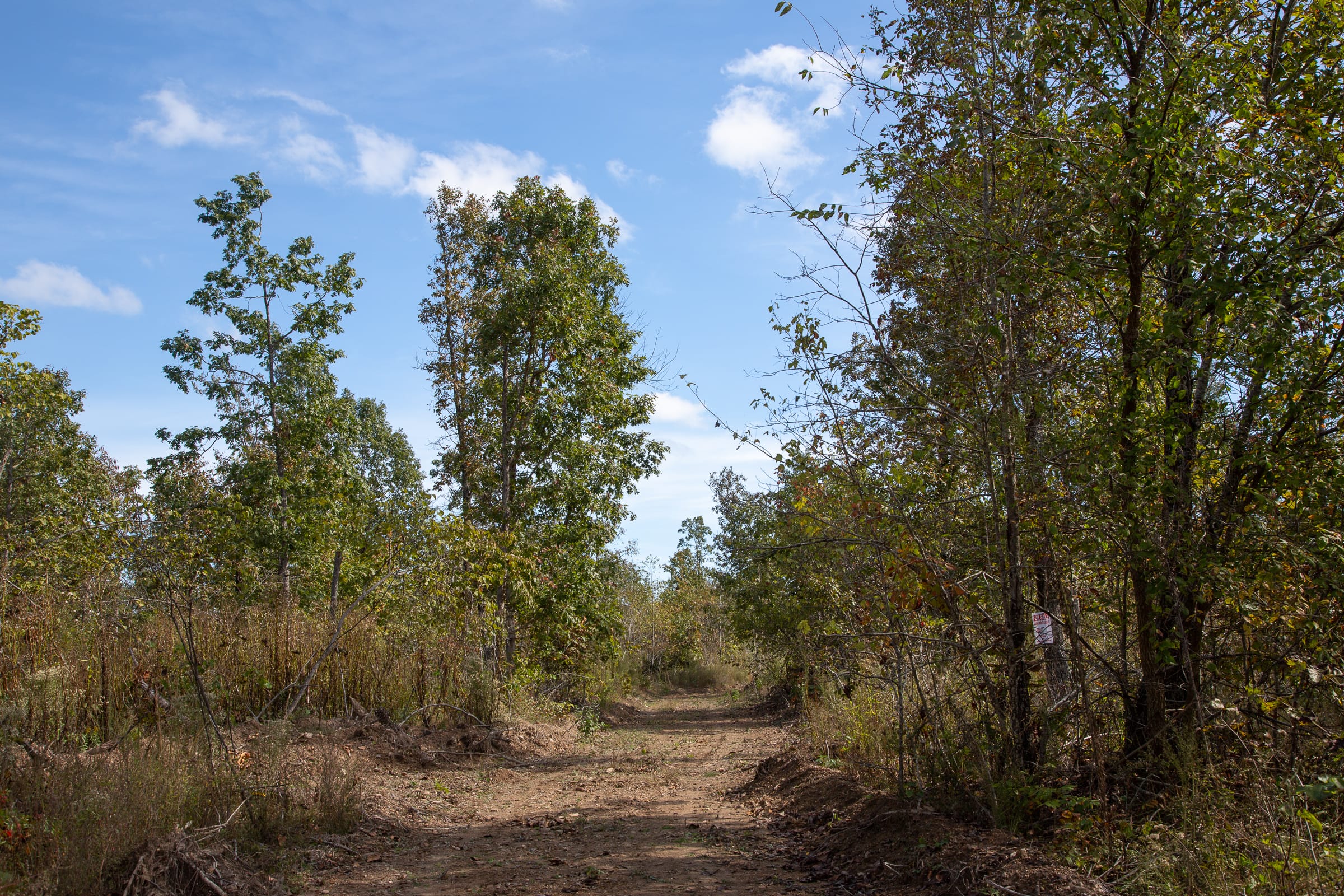 Borgmann’s Hollow Phase IV Tract 132 photo 8
