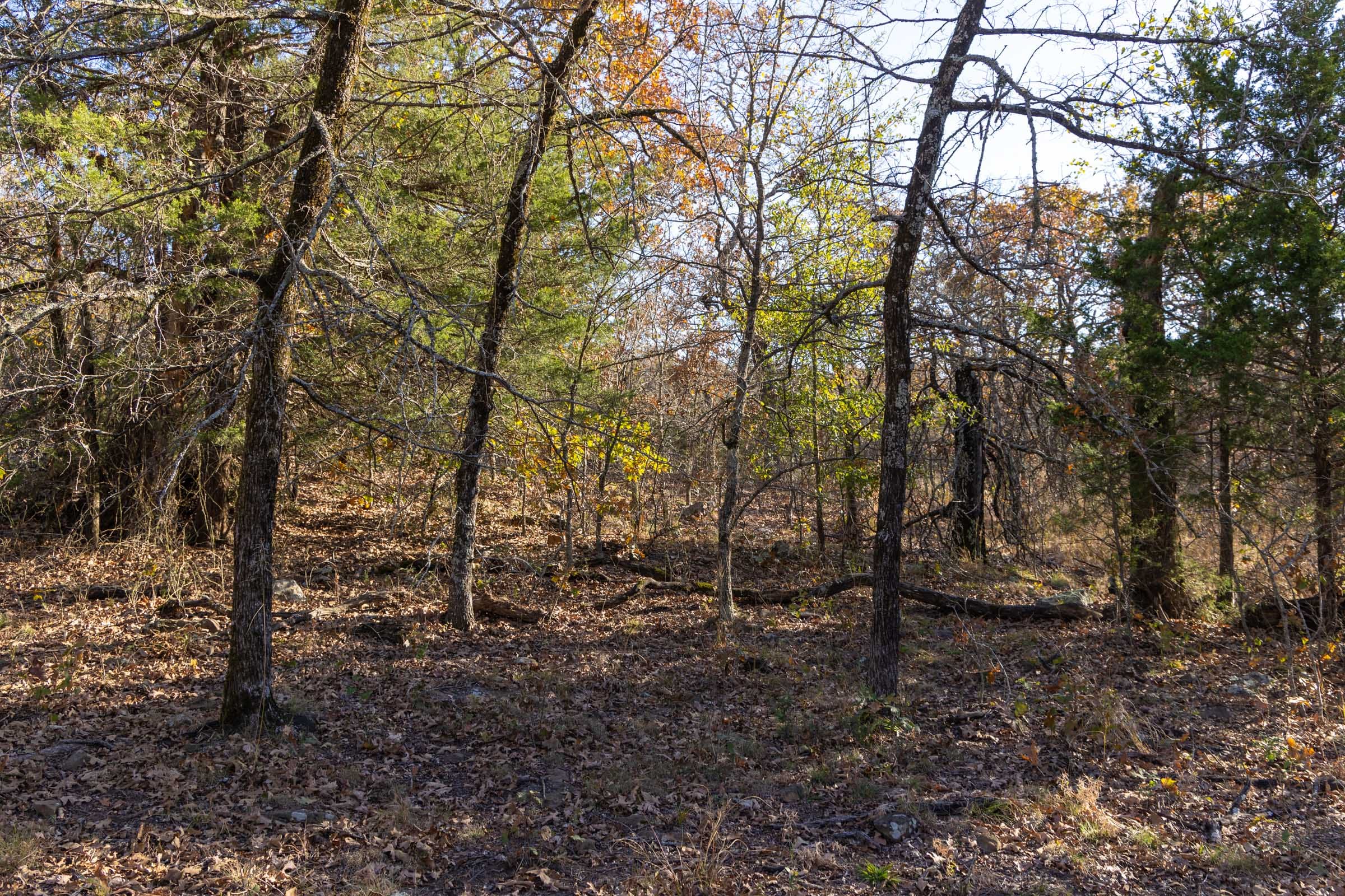 Harmony Hills Tract 50 photo 7