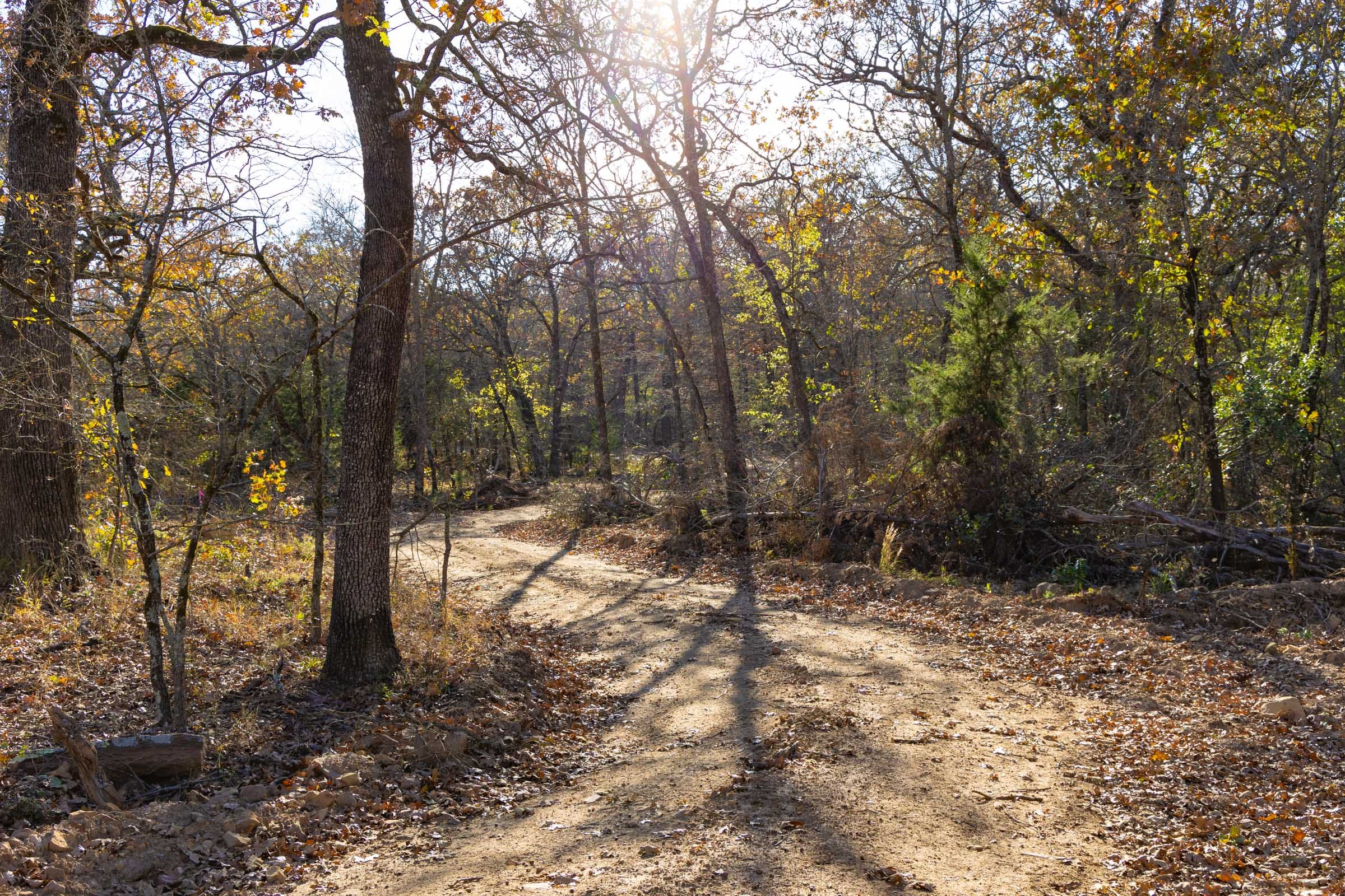 Harmony Hills Tract 50 photo 2
