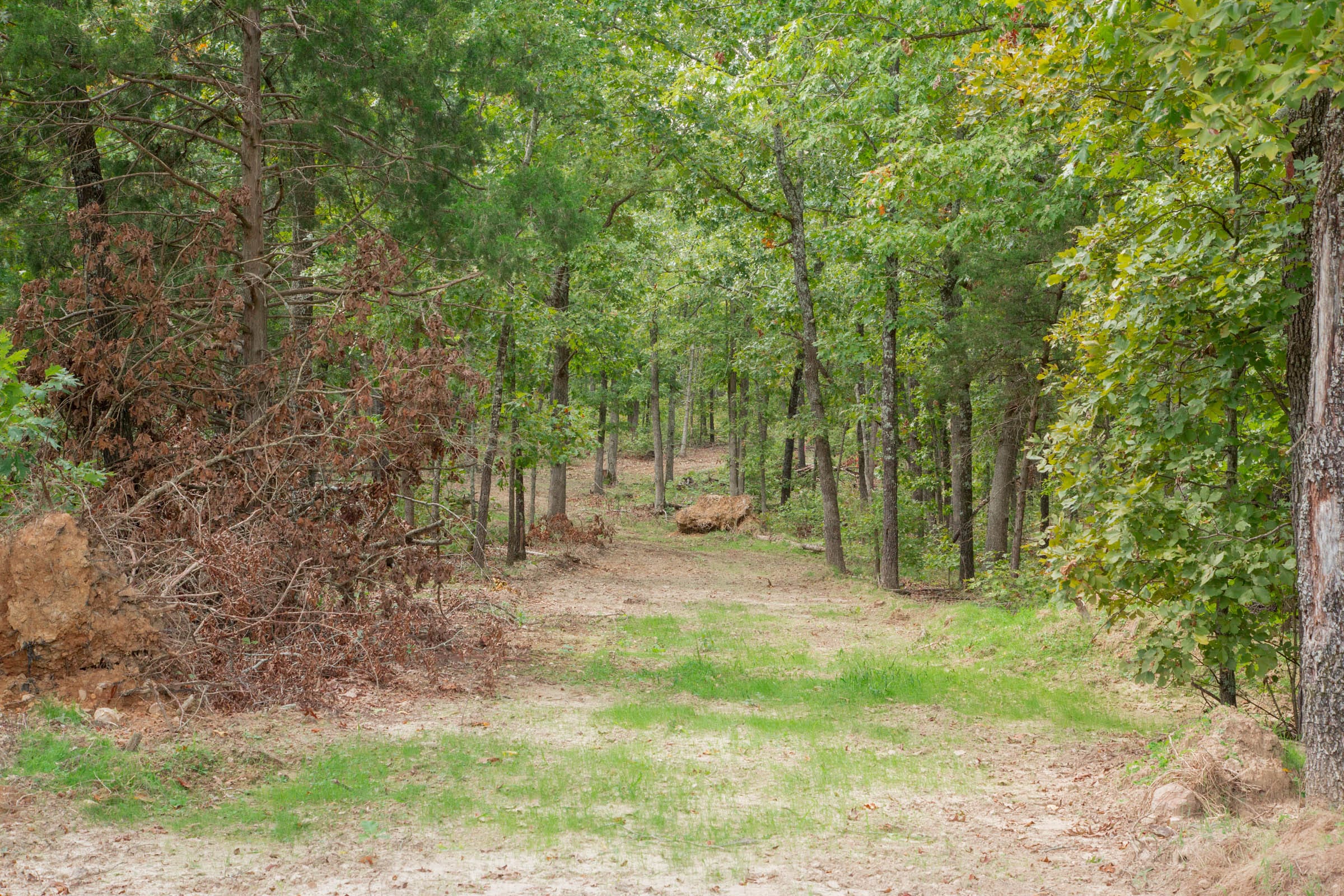Wagon Wheel Ranch Tract 28 photo 7