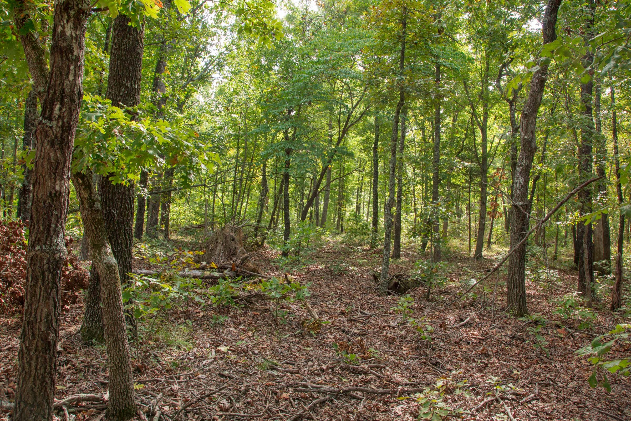 Wagon Wheel Ranch Tract 28 photo 3