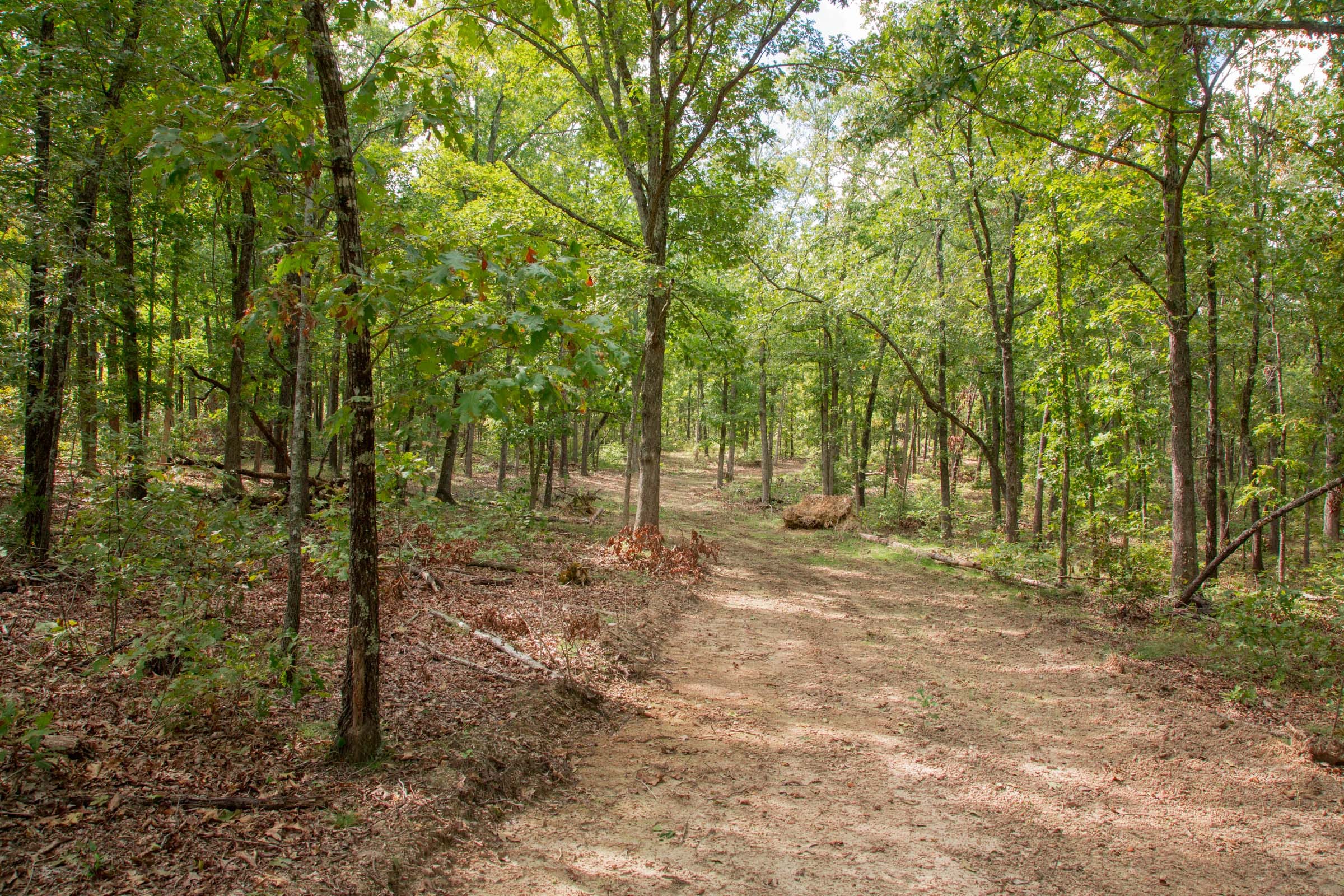 Wagon Wheel Ranch Tract 28 photo 5