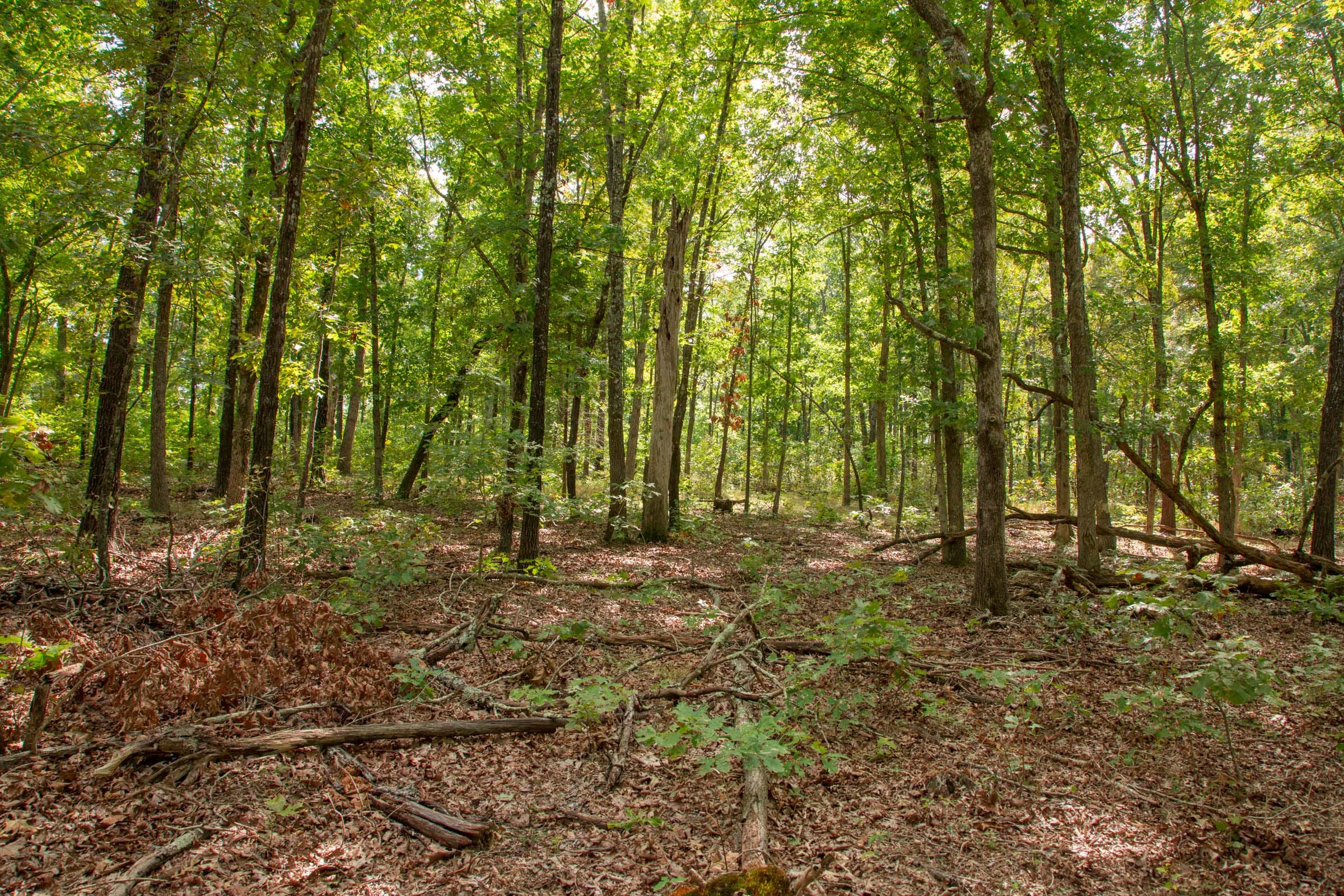 Wagon Wheel Ranch Tract 28 photo 4
