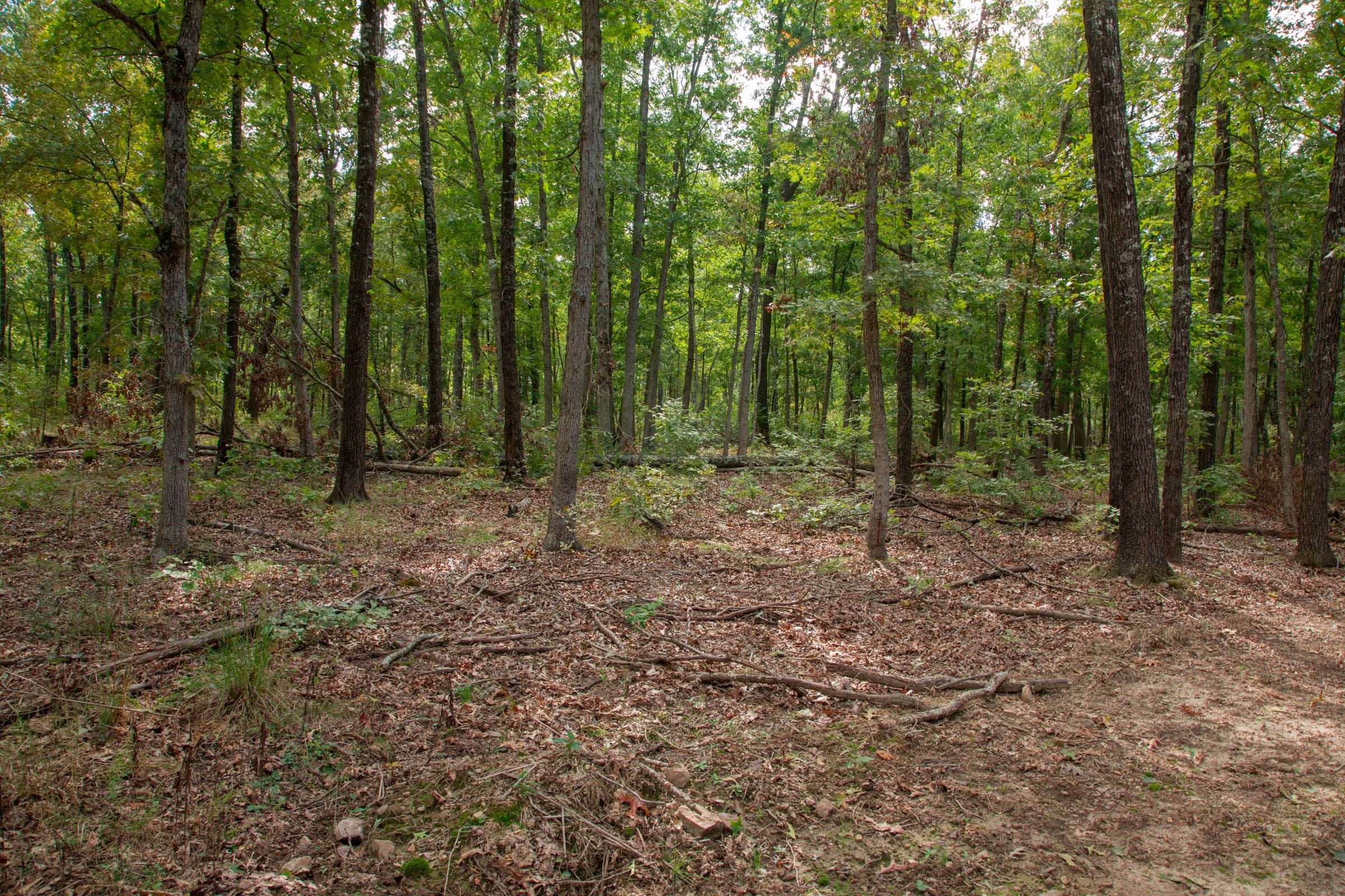 Wagon Wheel Ranch Tract 28 photo 1