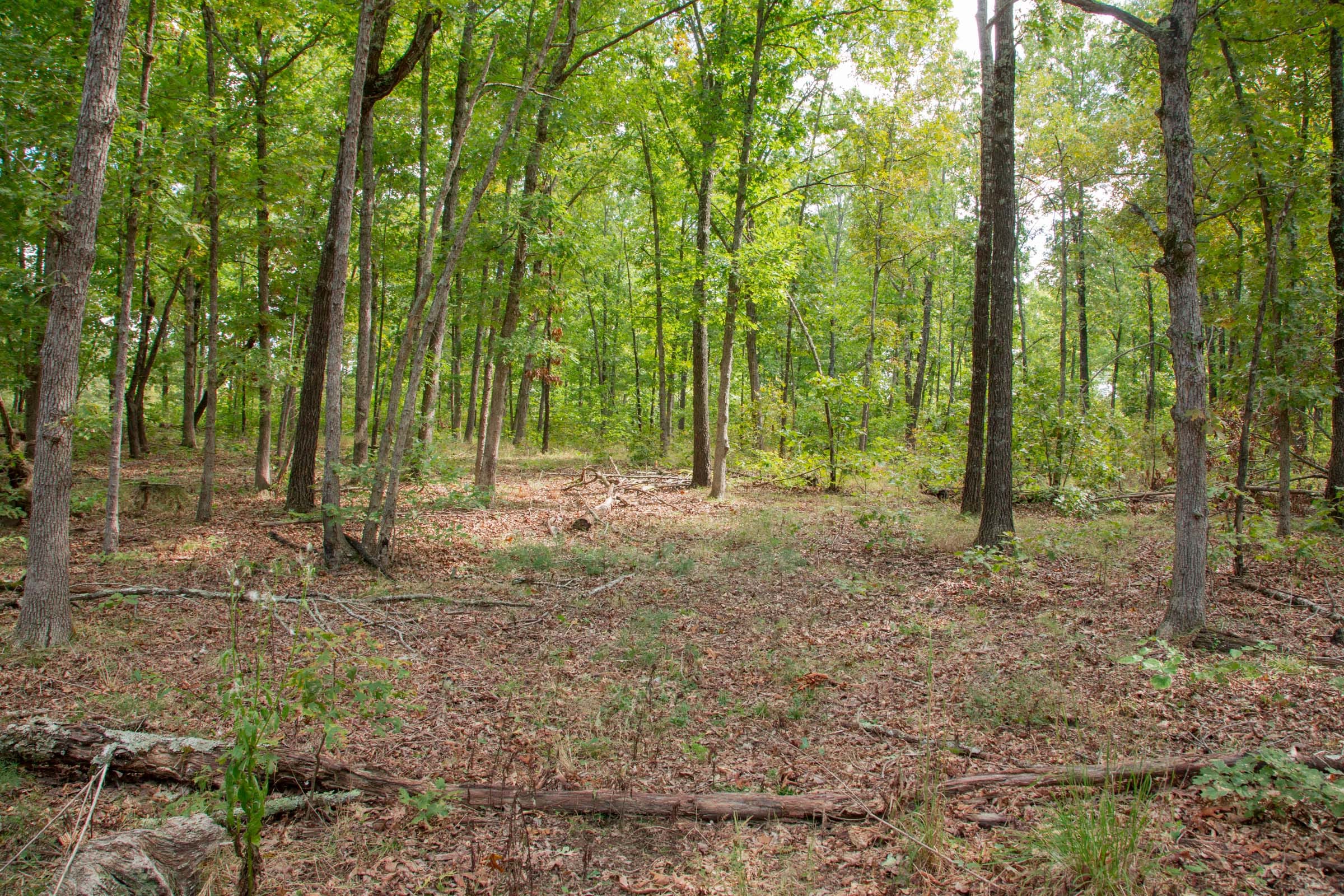 Wagon Wheel Ranch Tract 28 photo 6