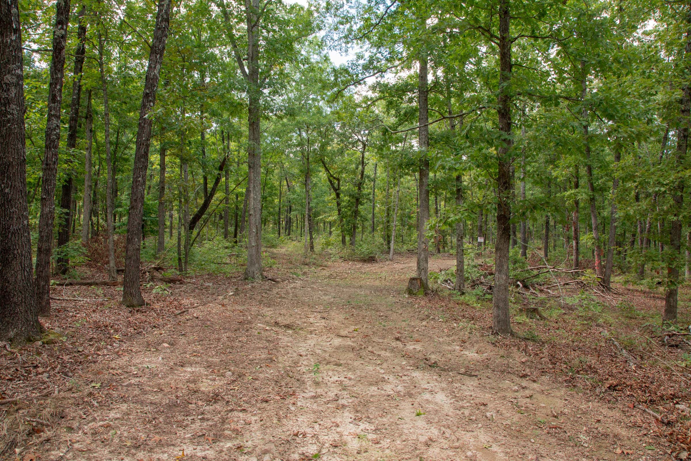 Wagon Wheel Ranch Tract 28 photo 12