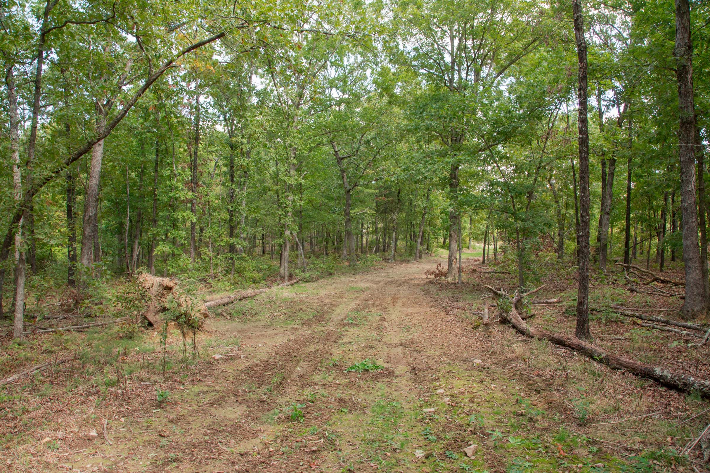 Wagon Wheel Ranch Tract 28 photo 10