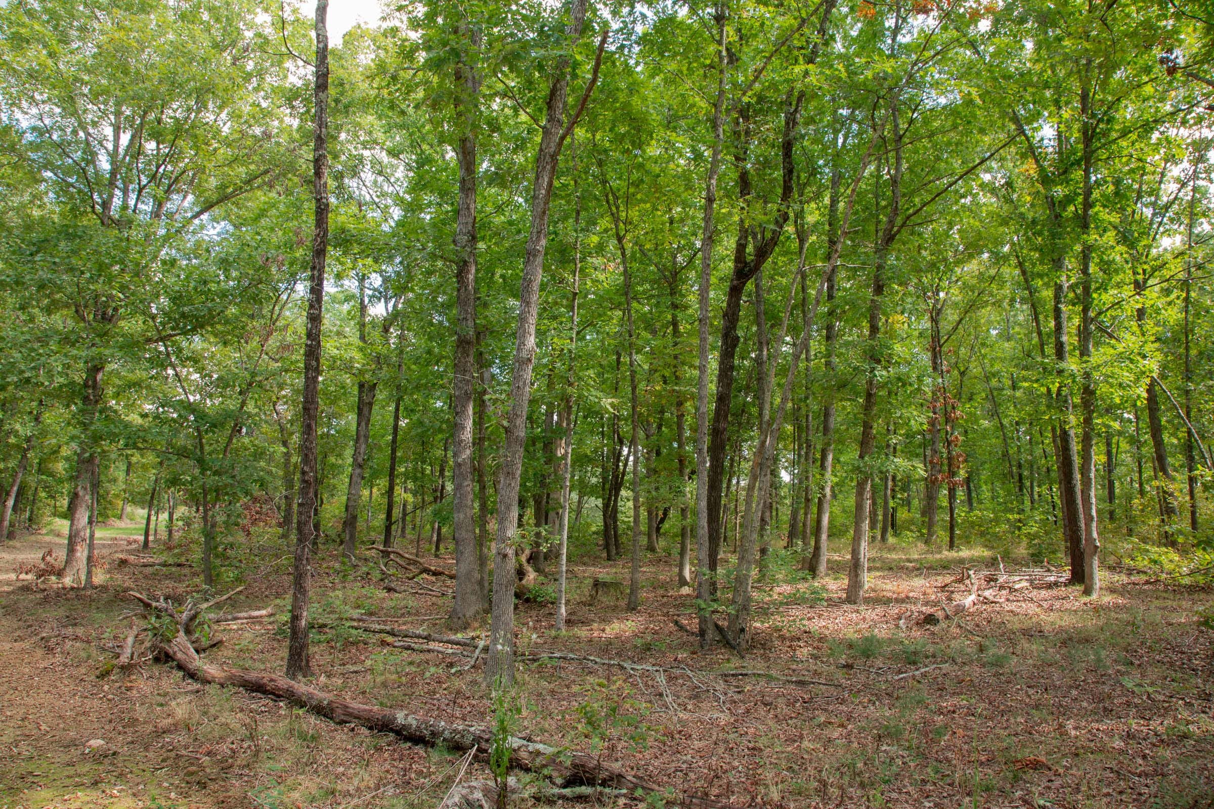 Wagon Wheel Ranch Tract 28 photo 11
