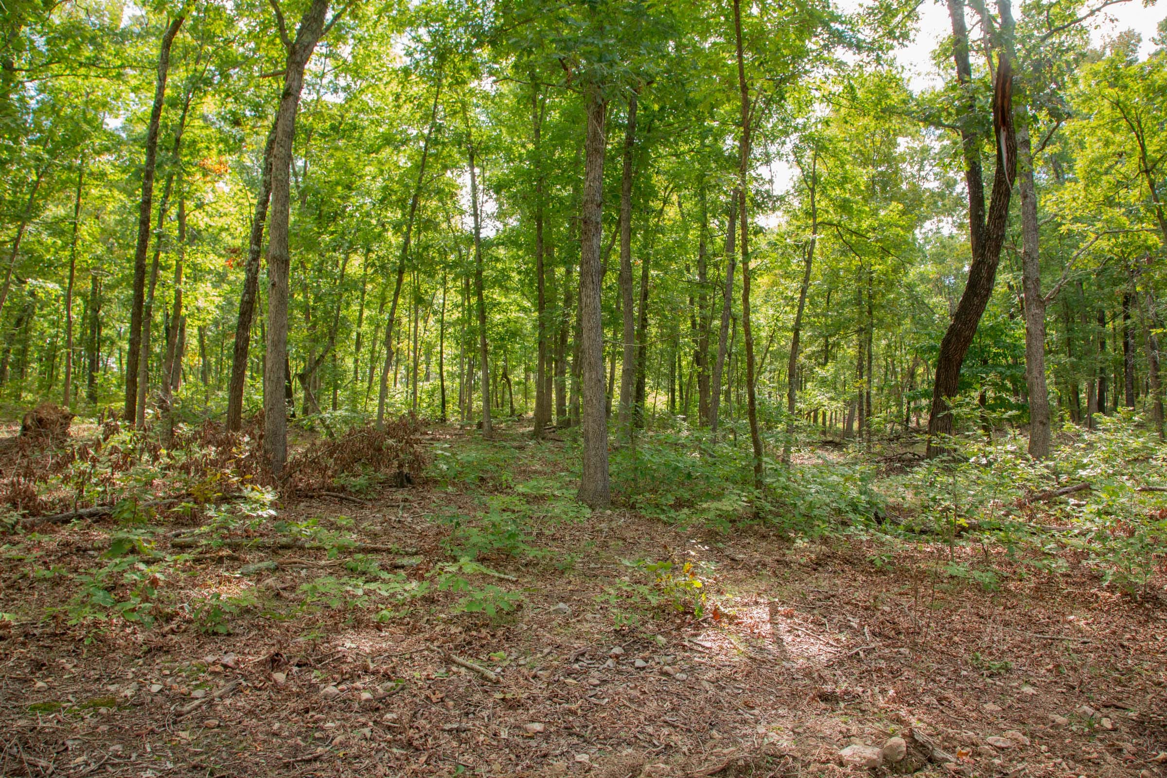Wagon Wheel Ranch Tract 28 photo 9