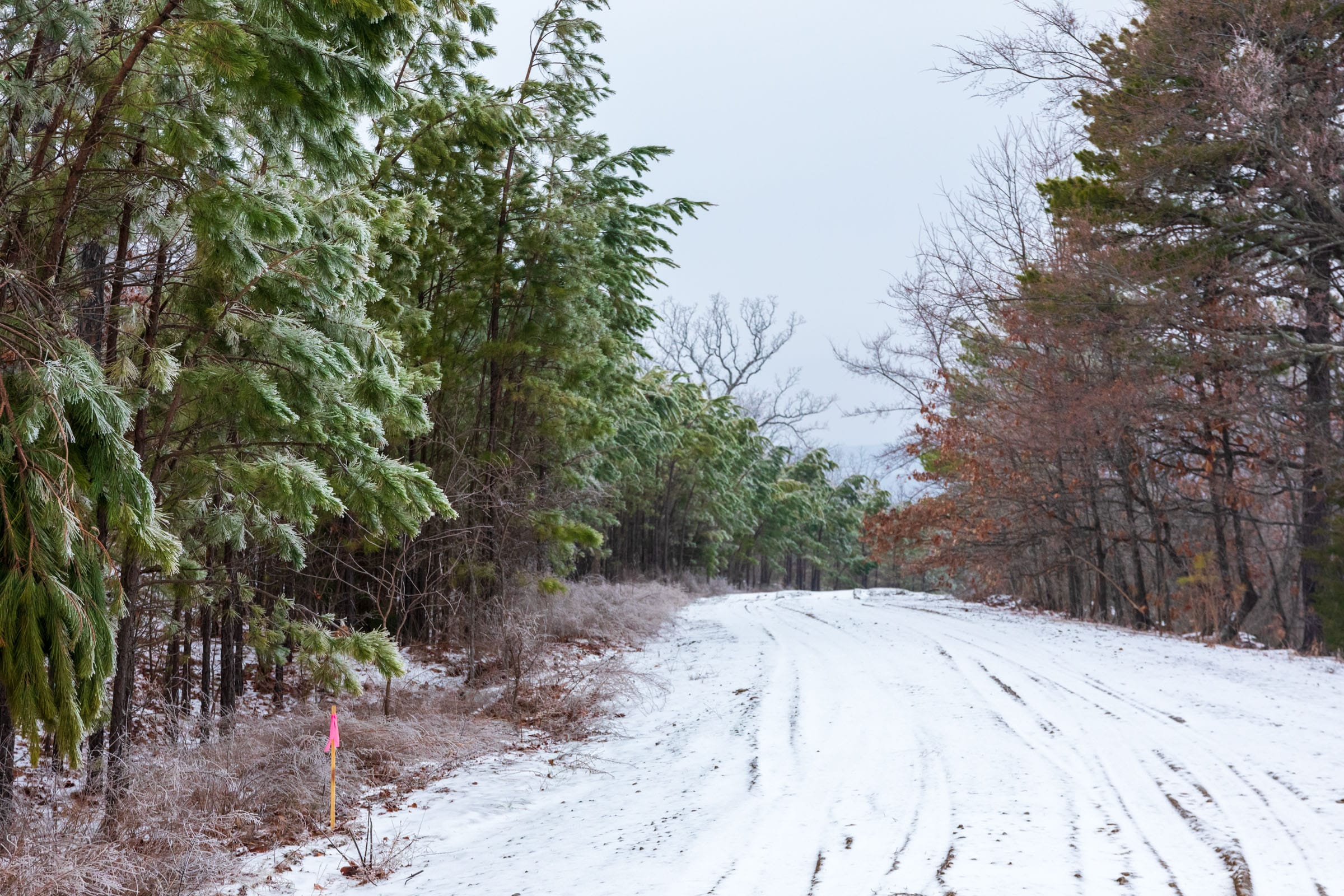 Stone Bridge Phase IV Tract 322 photo 8