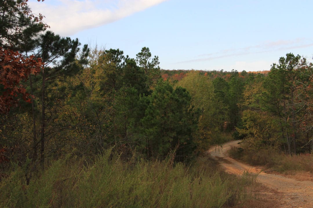 Stone Creek Phase III Tract 79 photo 1