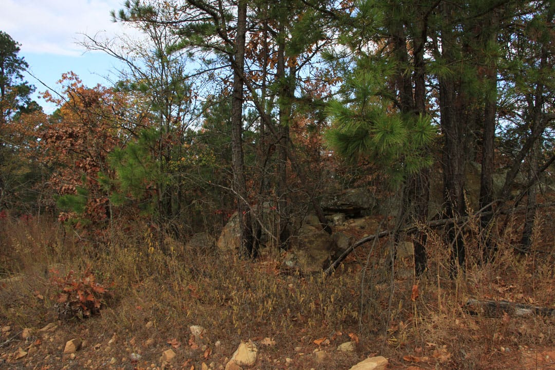 Stone Creek Phase III Tract 79 photo 2