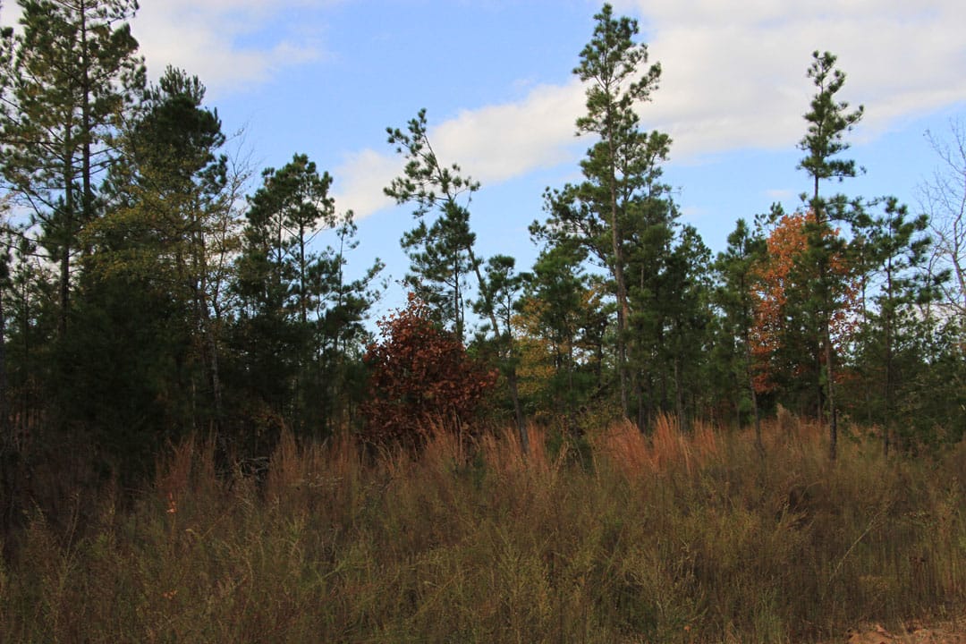 Stone Creek Phase III Tract 79 photo 3