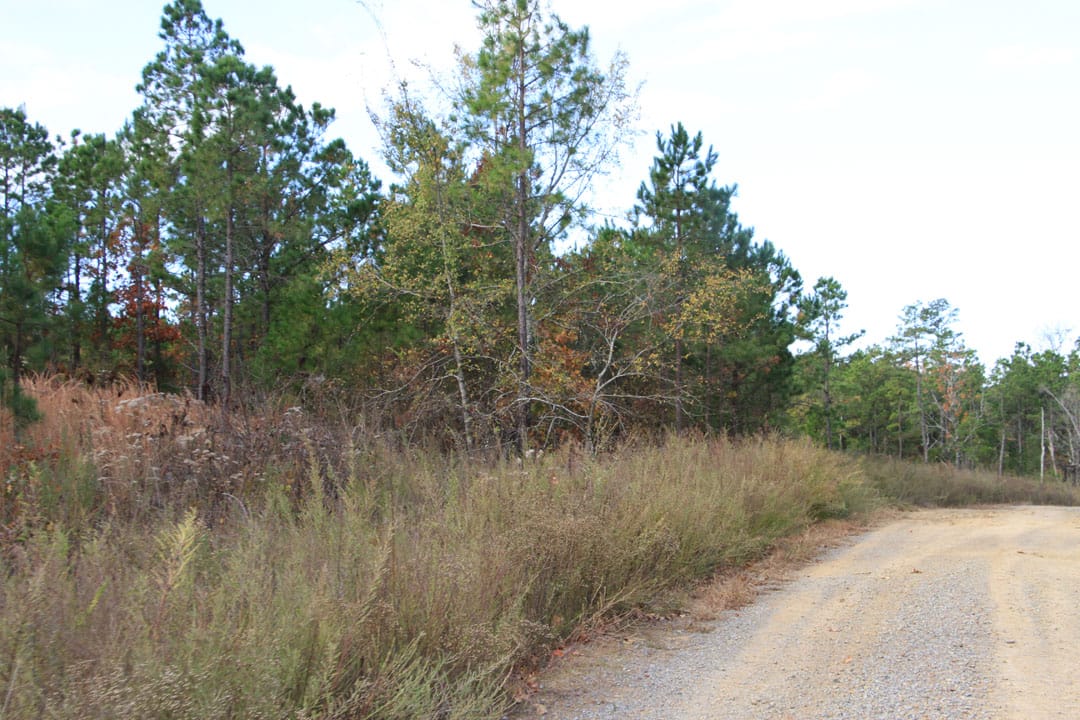 Stone Creek Phase III Tract 79 photo 4