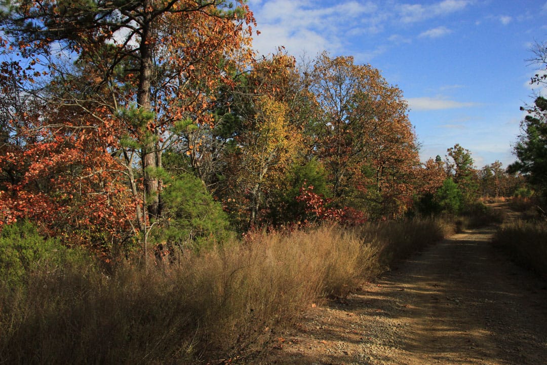 Stone Creek Phase III Tract 79 photo 6