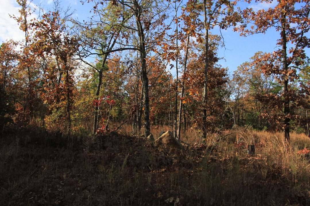 Stone Creek Phase III Tract 79 photo 8