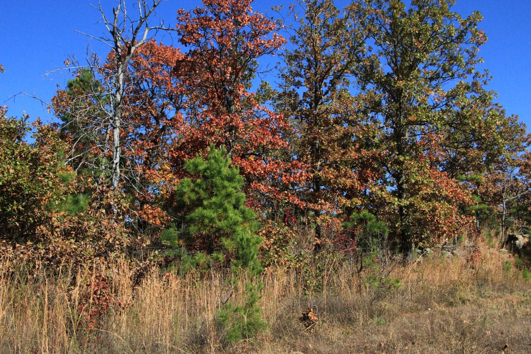Stone Creek Phase III Tract 79 photo 10