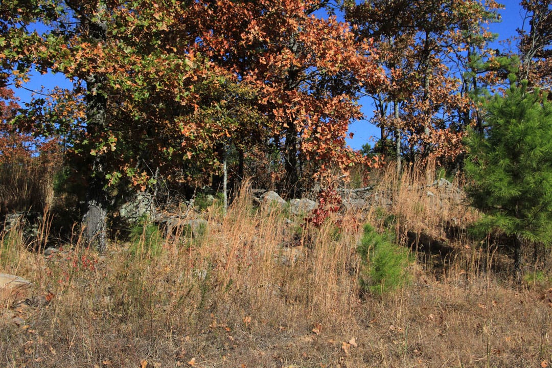 Stone Creek Phase III Tract 79 photo 11