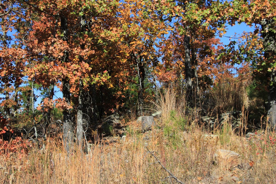 Stone Creek Phase III Tract 79 photo 12