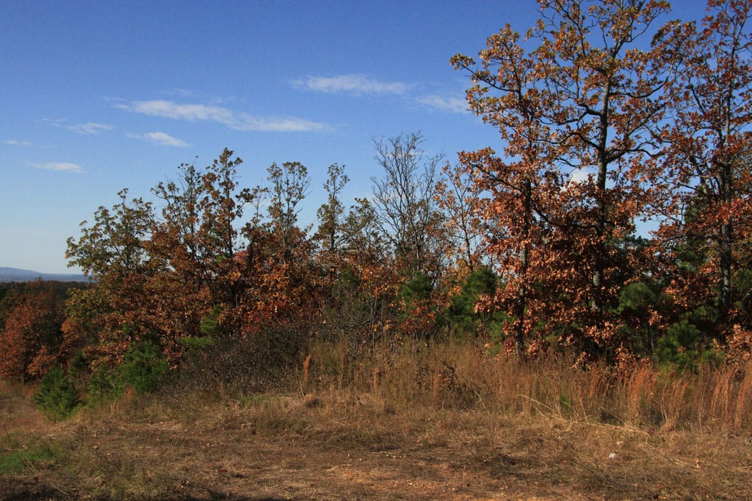 Stone Creek Phase III Tract 79 photo 15