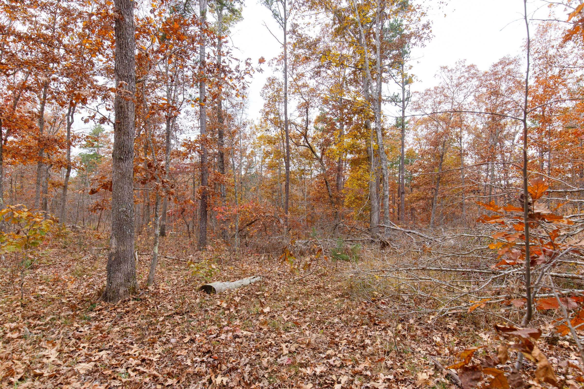 Hawkcrest Tract 51 photo 4