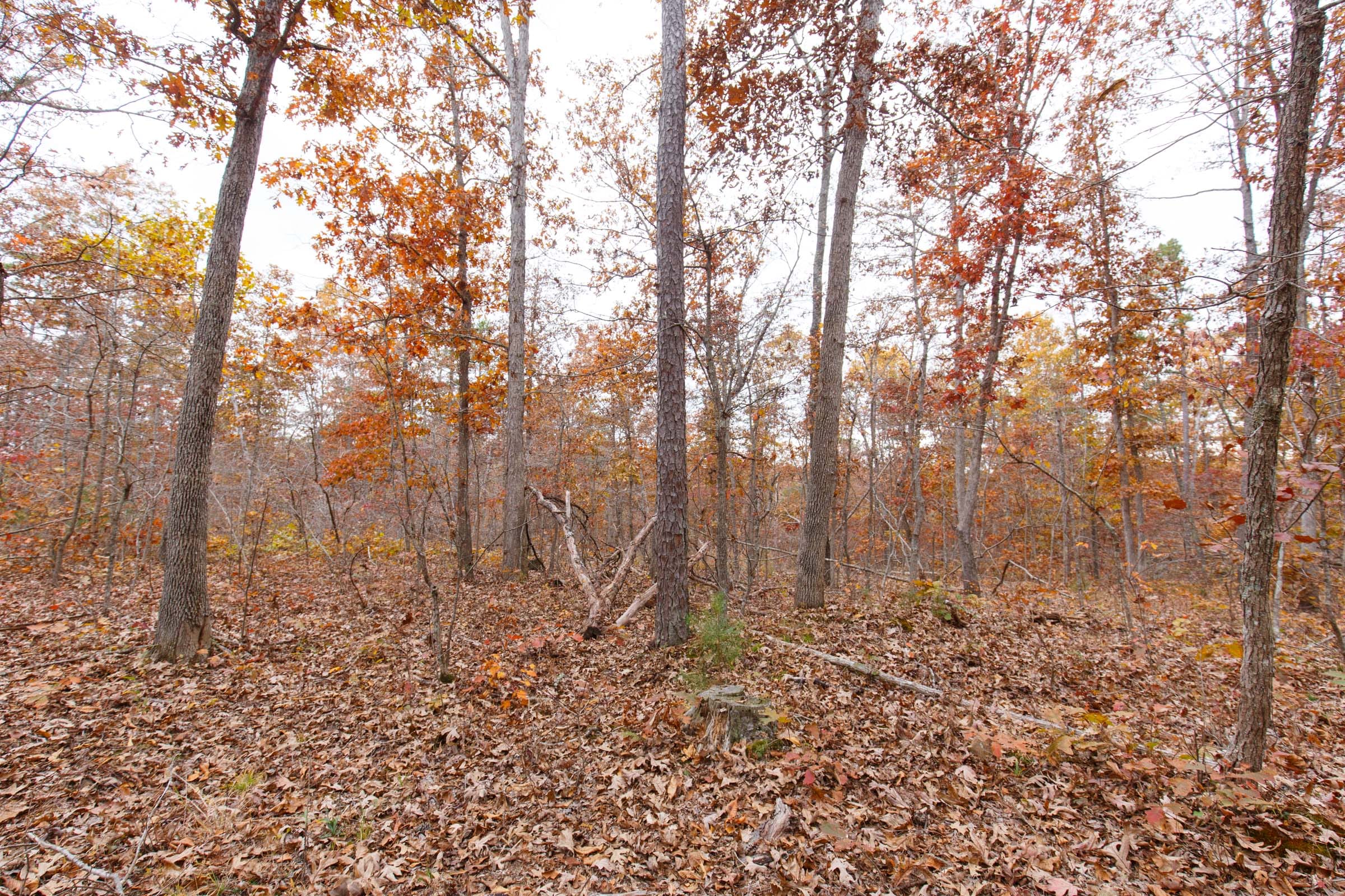 Hawkcrest Tract 51 photo 3