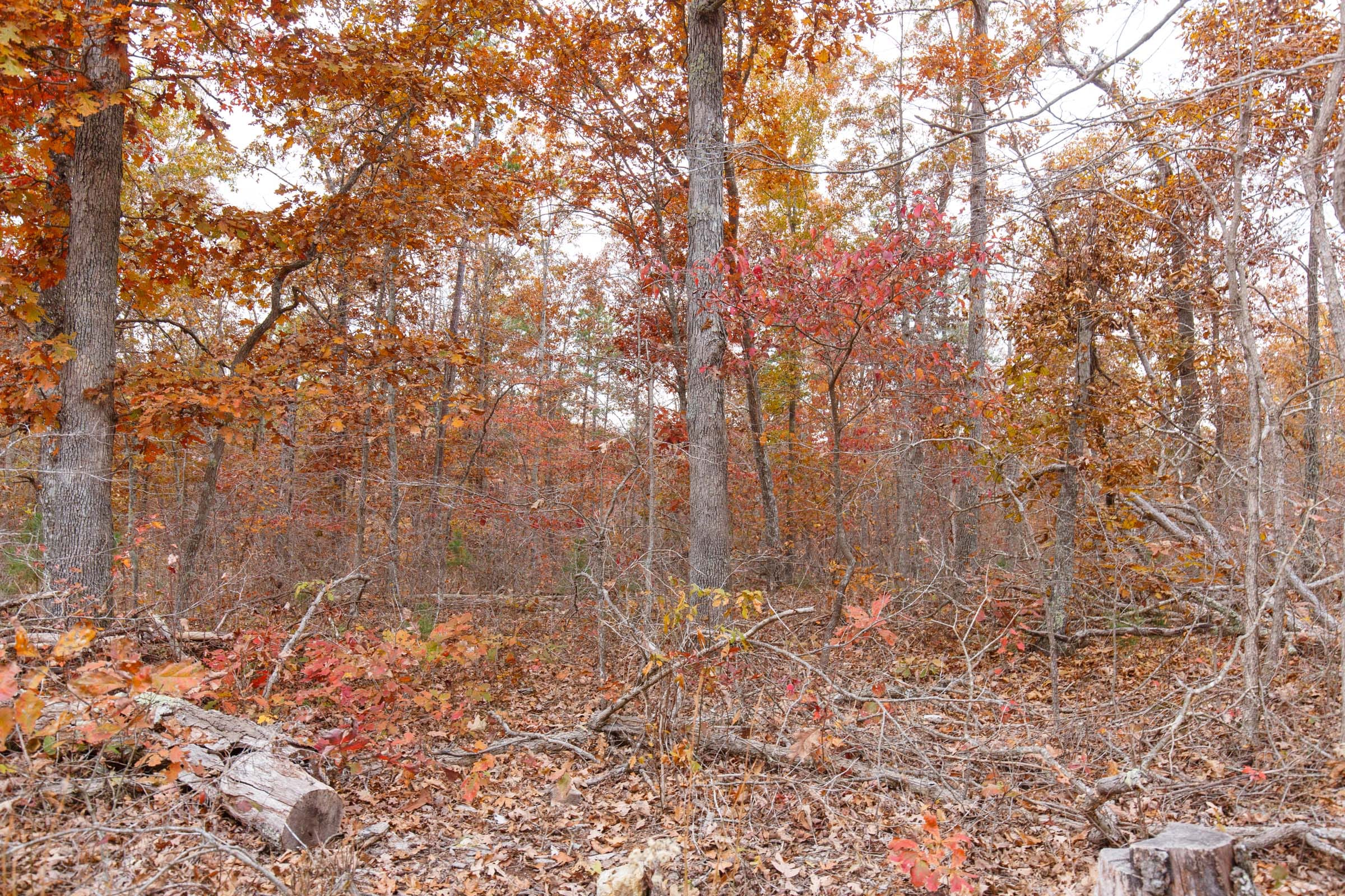 Hawkcrest Tract 51 photo 5