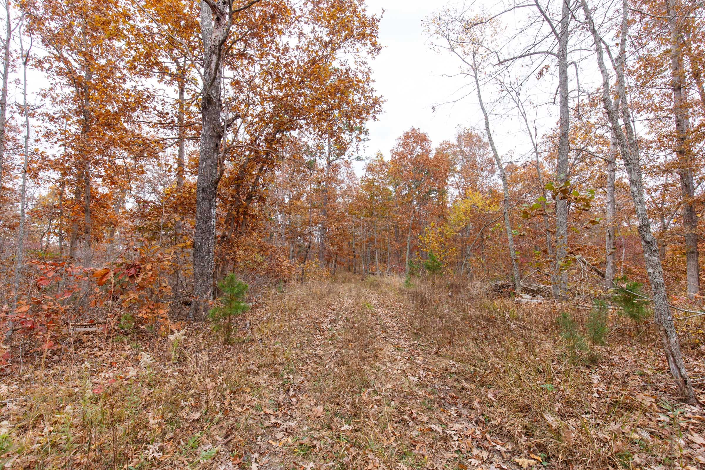 Hawkcrest Tract 51 photo 1