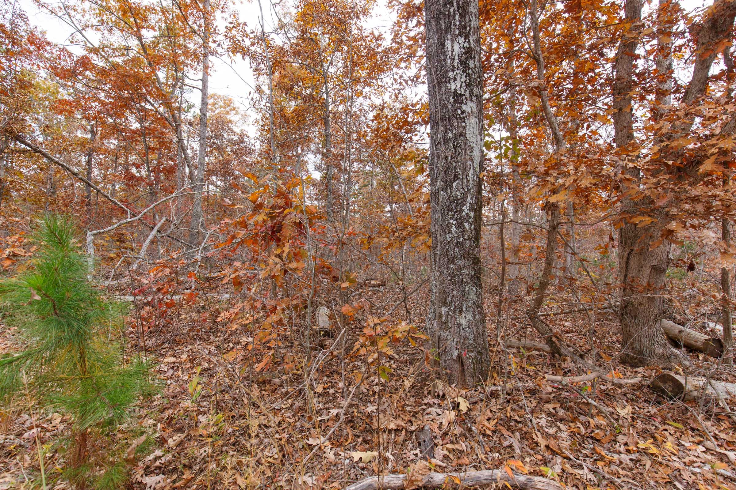 Hawkcrest Tract 51 photo 8