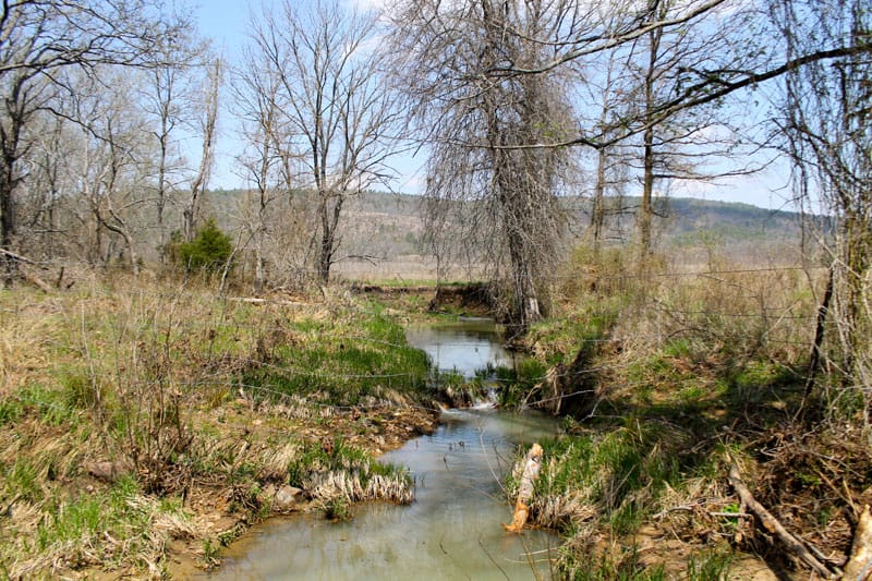 Daisy Meadows Tract 15 photo 2