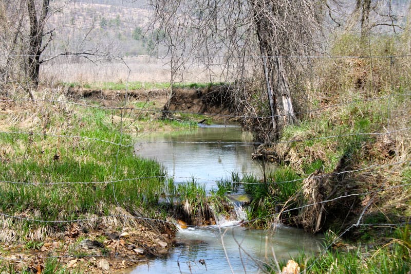 Daisy Meadows Tract 15 photo 3