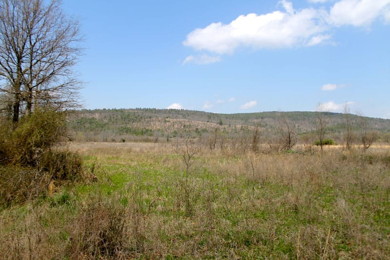 Daisy Meadows Tract 15 photo 4