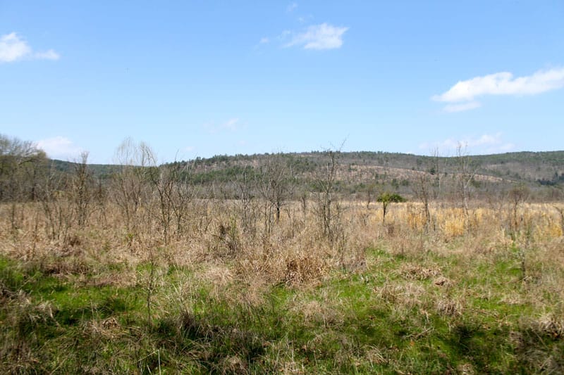 Daisy Meadows Tract 15 photo 8