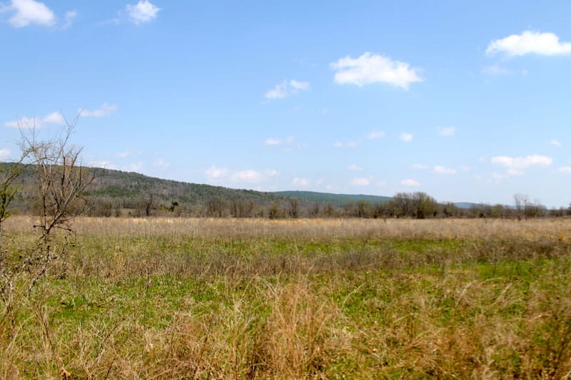 Daisy Meadows Tract 15 photo 10