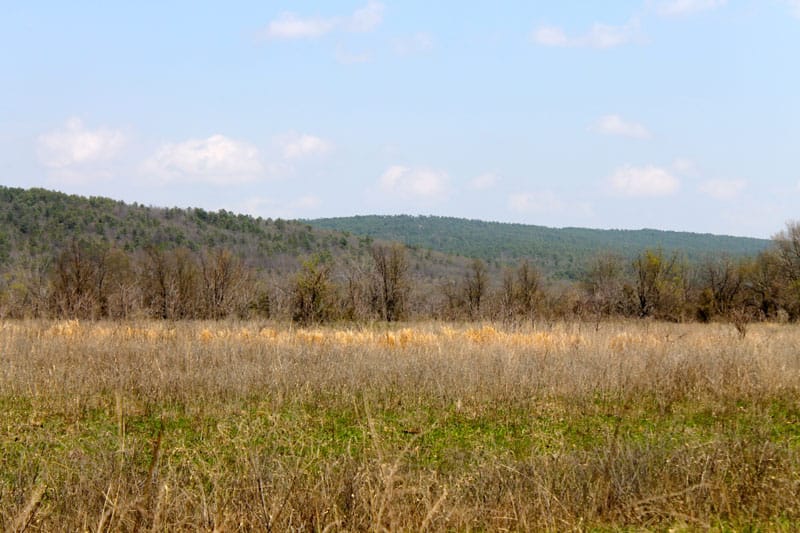 Daisy Meadows Tract 15 photo 11