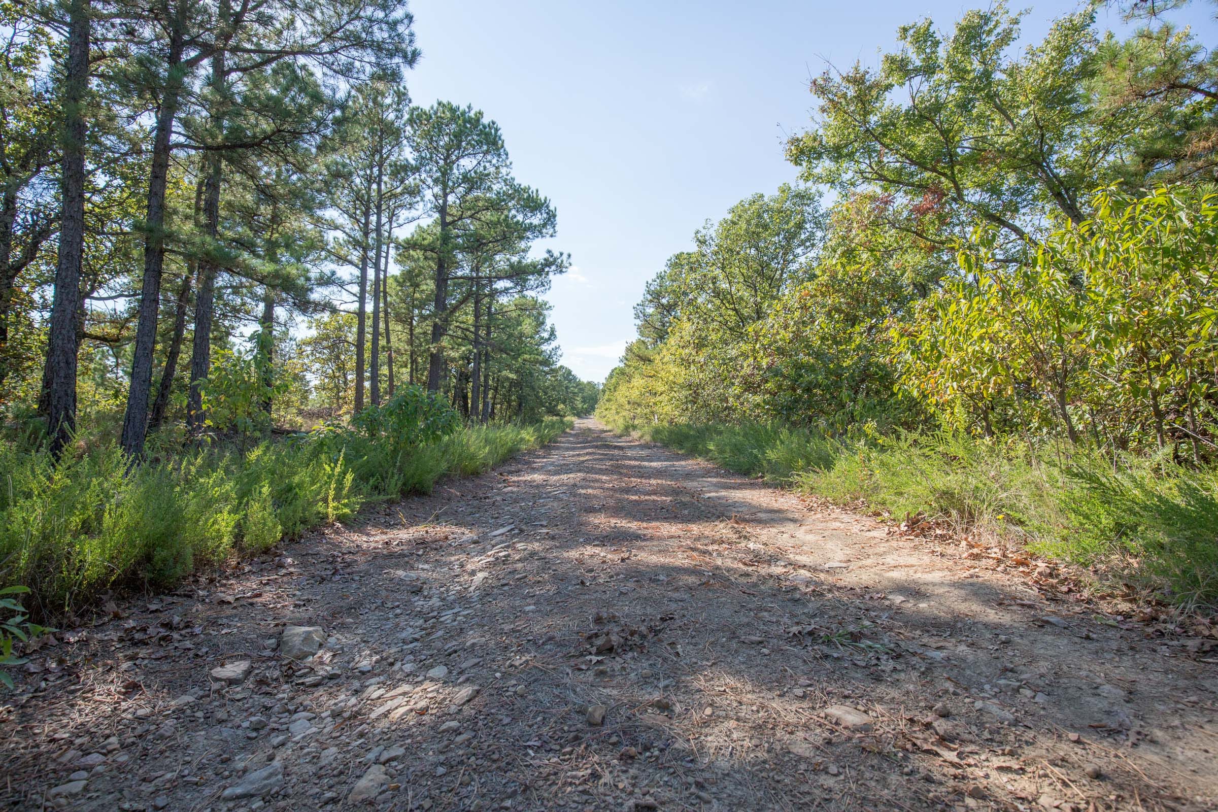 Stone Bridge Phase I Tract 57 photo 2