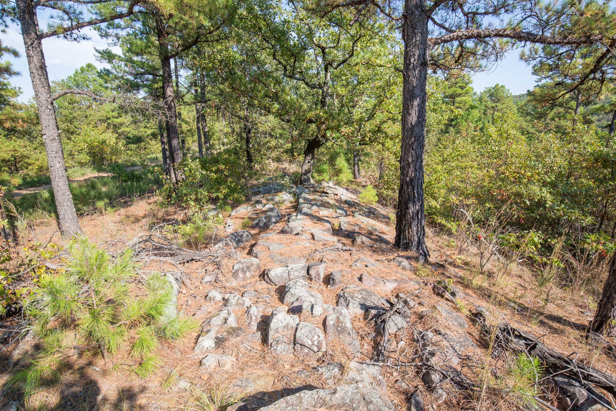 Stone Bridge Phase I Tract 57 photo 5